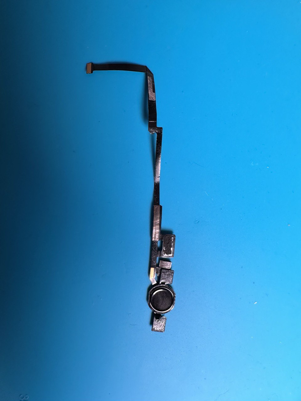 Шлейф кнопки Home iPad 9 (A2602) ОРИГИНАЛ